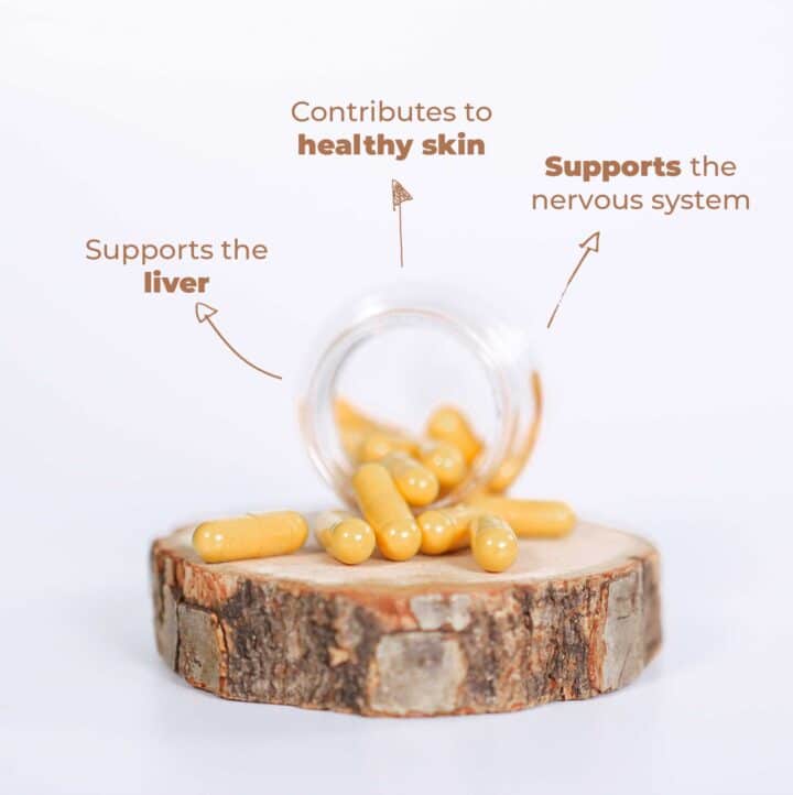 Curcumine, curcuma, BCM-95, chardon-Marie, Go-Keto x60