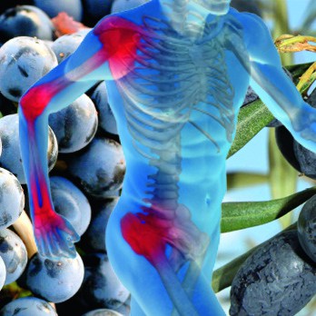 Good for Joints – Glucosamine, MSM, OPC & Vitamins D3, K2, C – 90 Capsules (45 Days)